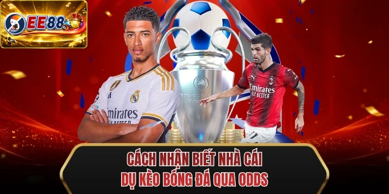 cach nhan biet nha cai du keo bong da qua odds