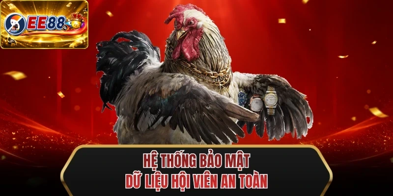 he thong bao mat du lieu hoi vien an toan